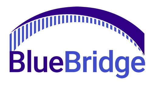 BlueBridge Networks logo