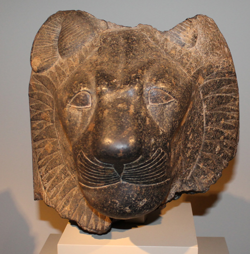 Lion head at exhibit on lions at Cleveland Art Museum