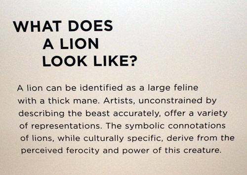 What does a lion look like