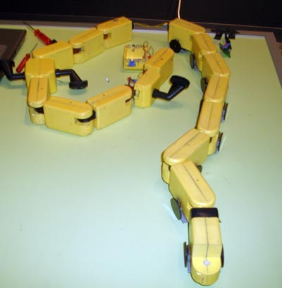 Salamander Robot