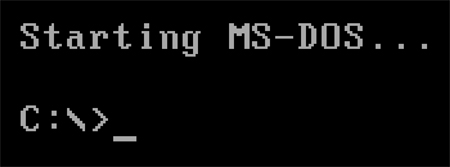 MS-DOS prompt